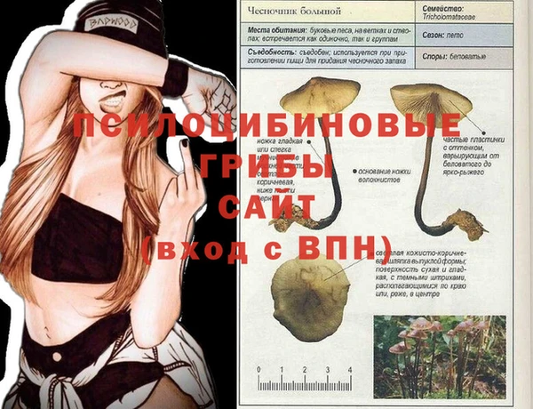 ALPHA PVP Балабаново