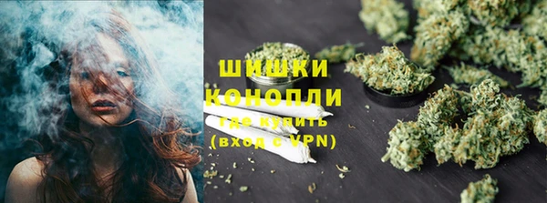 хмурый Арсеньев