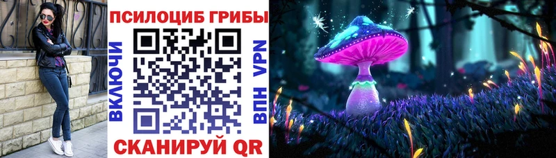 Псилоцибиновые грибы Cubensis Новоузенск